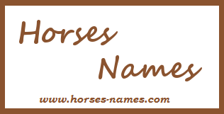 horse-name-generator-quiz